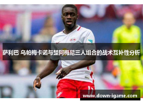 萨利巴 乌帕梅卡诺与楚阿梅尼三人组合的战术互补性分析 萨利巴 乌帕梅卡诺与楚阿梅尼三人组合的战术互补性分析