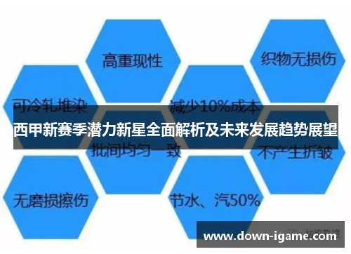 西甲新赛季潜力新星全面解析及未来发展趋势展望 西甲新赛季潜力新星全面解析及未来发展趋势展望