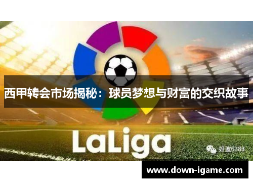西甲转会市场揭秘:球员梦想与财富的交织故事 西甲转会市场揭秘:球员梦想与财富的交织故事