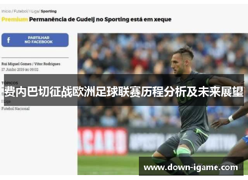 费内巴切征战欧洲足球联赛历程分析及未来展望 费内巴切征战欧洲足球联赛历程分析及未来展望